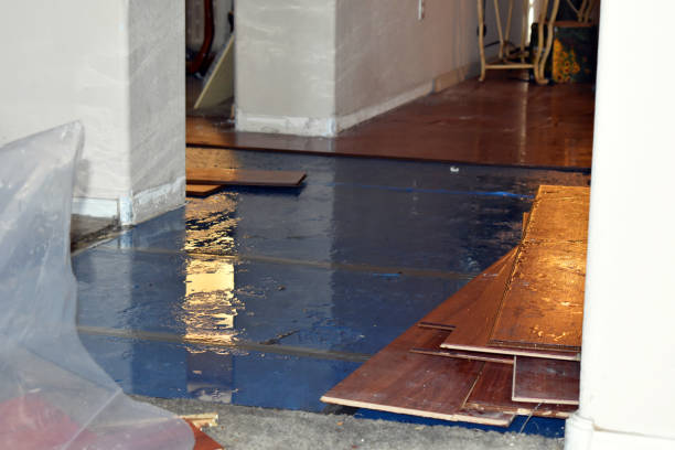 Professional Water Damage Restoration technician working in Seaford, DE